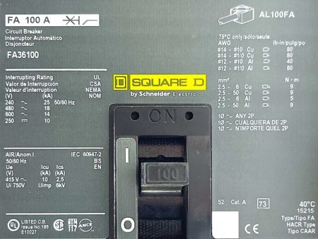 Square D FA36100-CL-NEW